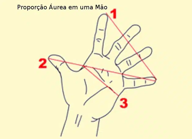 A proporção áurea está em tudo! Na natureza, na vida e em você 42 1_proporcao_aurea_na_mao
